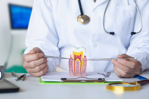 Best Emergency Dentist for Lost Fillings or Crowns in Lealman, FL
